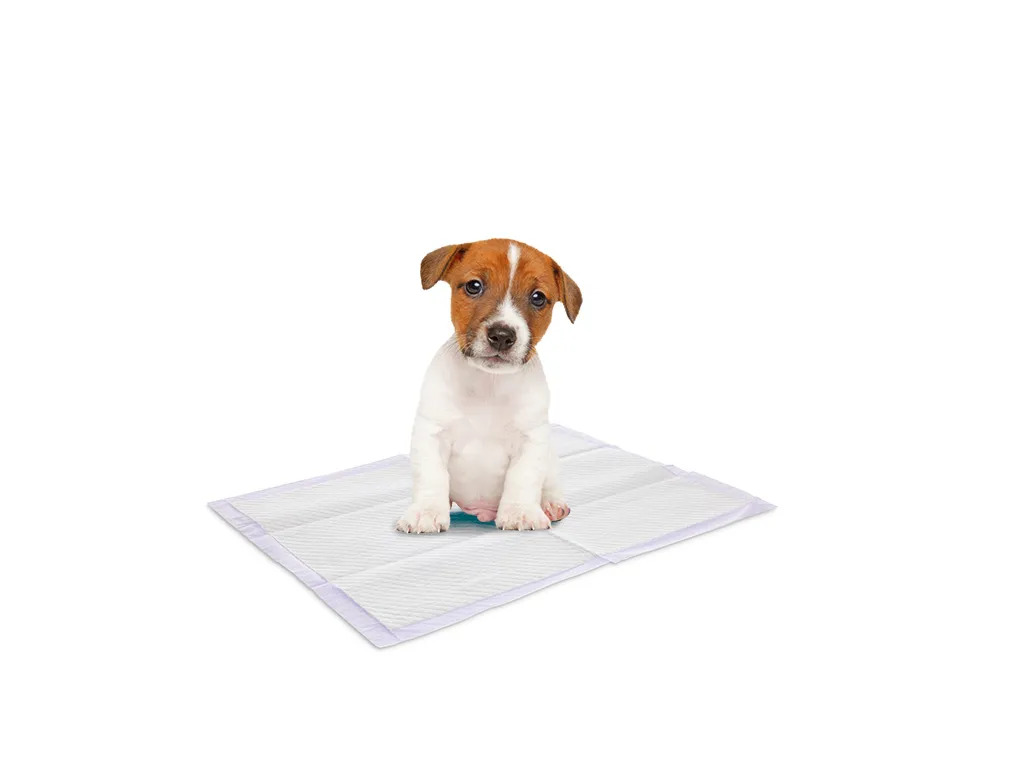 Puppy Trainer Lavender 30 training pads Puppy Trainer Lavender 30 training pads