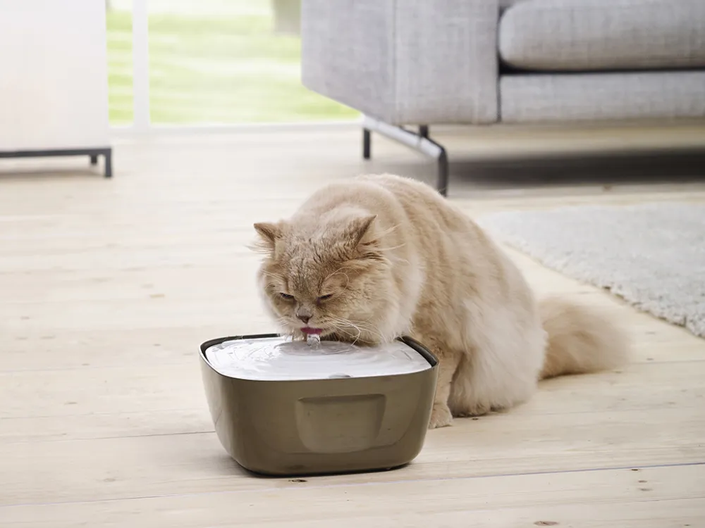 Volcano water drinking fountain Savic Volcano cat drinking fountain with flowing water.