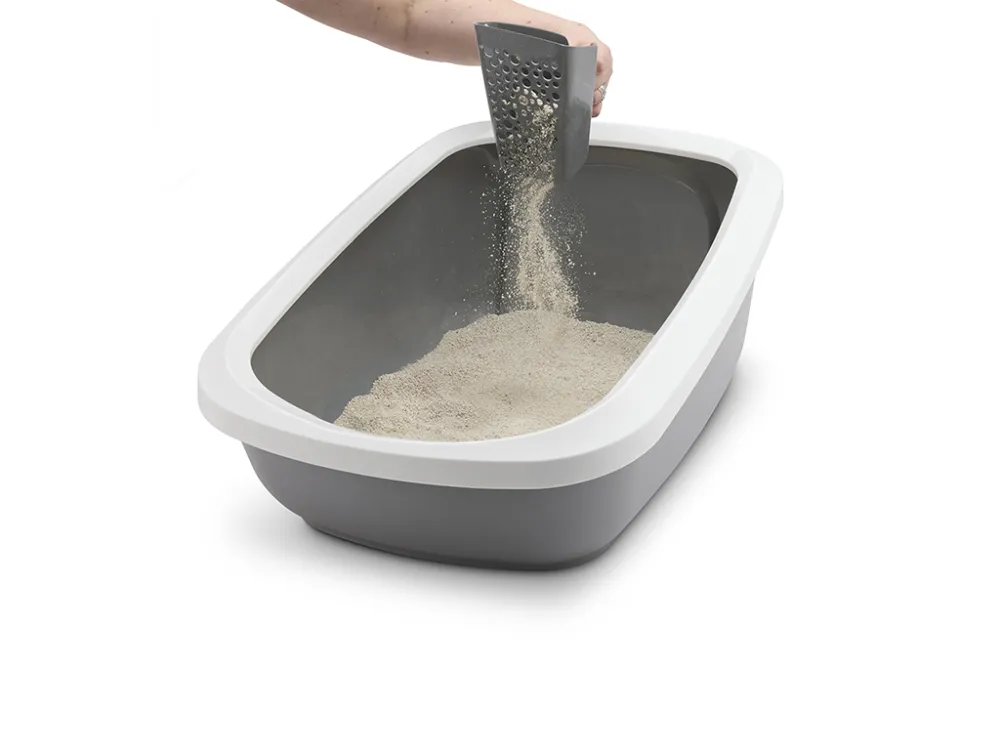 Scooping cat litter with Sift Buddy Scoop out of Aseo Jumbo litter tray