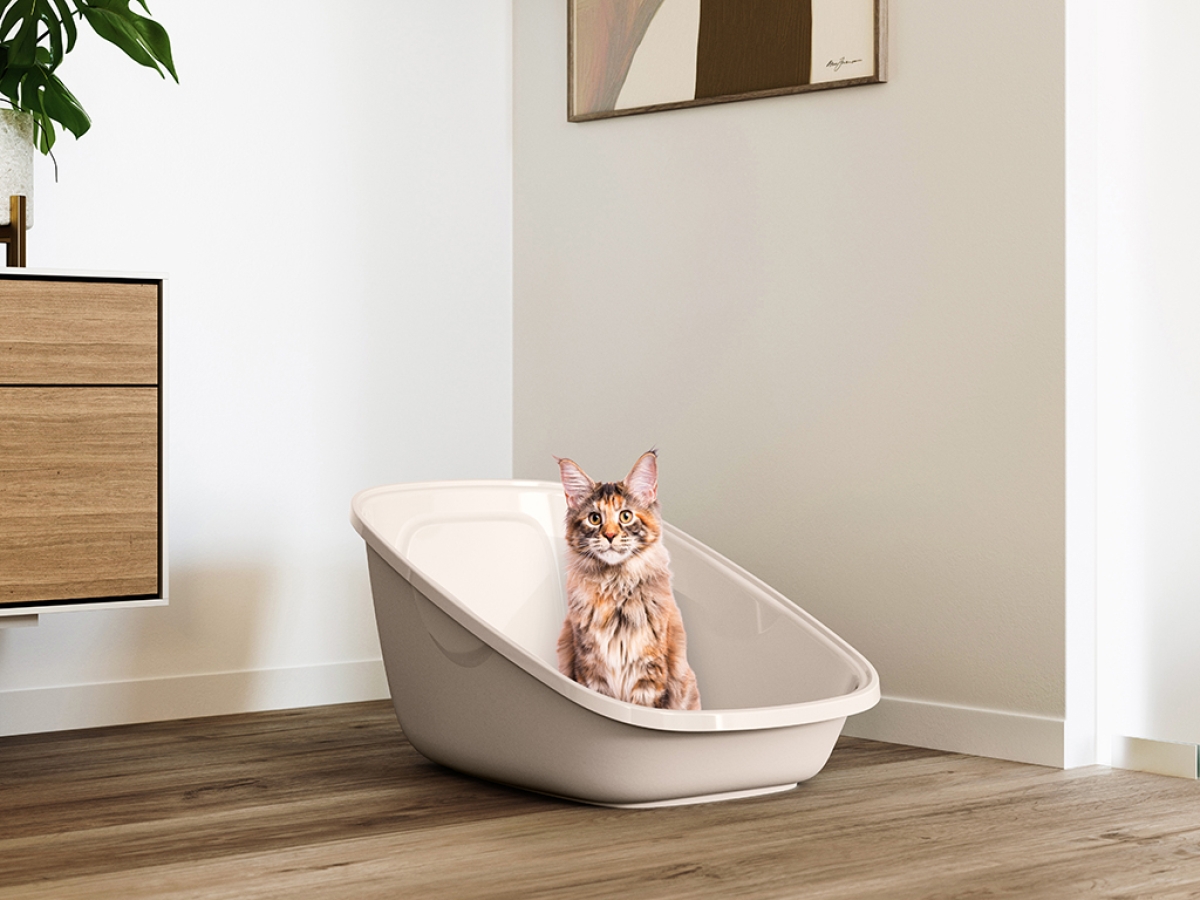 Aseo Giant Mocha – Extra-Large Cat Litter Tray Savic Aseo Giant Mocha extra-large open cat litter tray with white rim and raised sides in home setting with cat