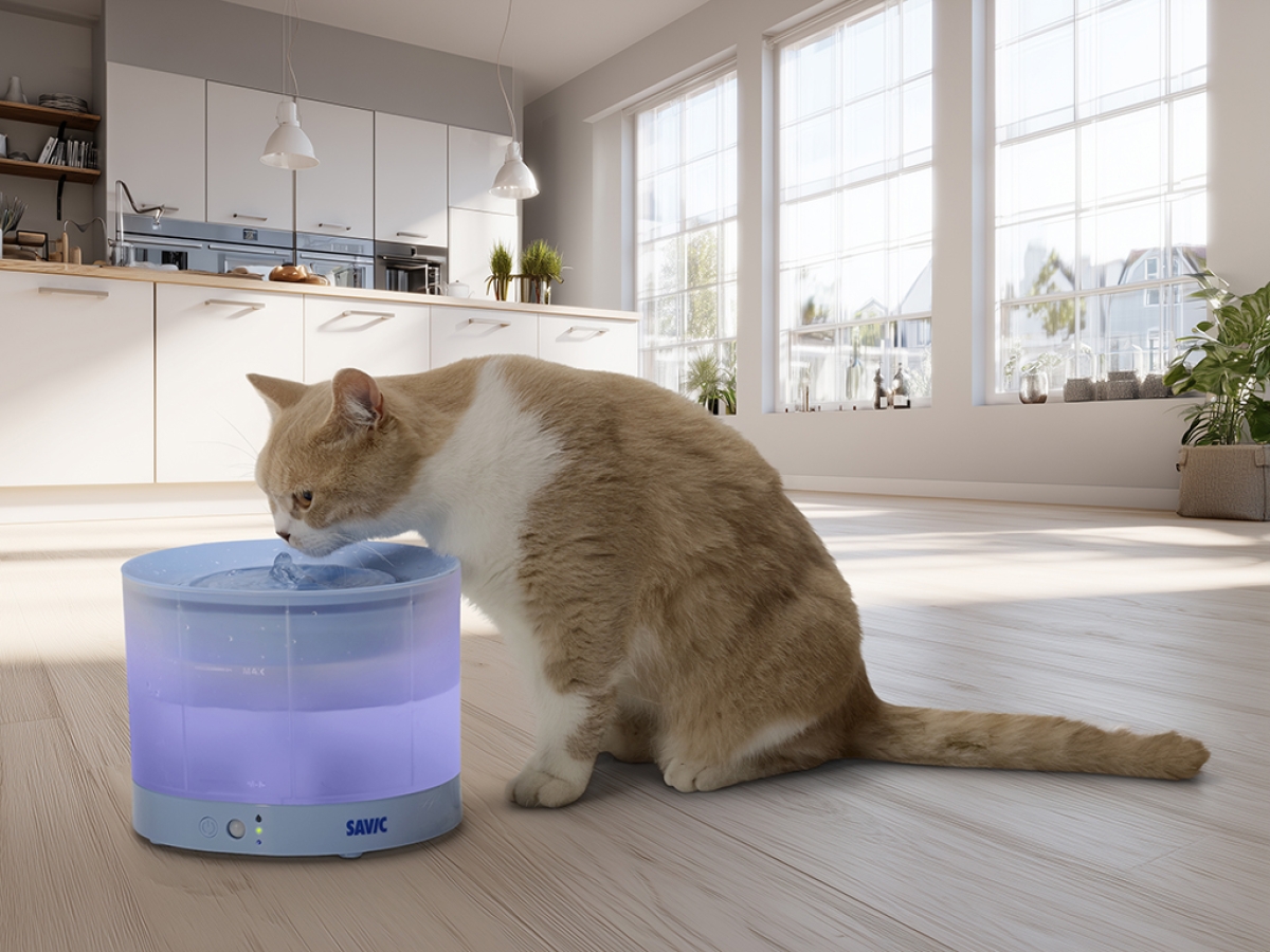 Savic Sensa Water Fountain Blue with translucent water reservoir and LED indicators