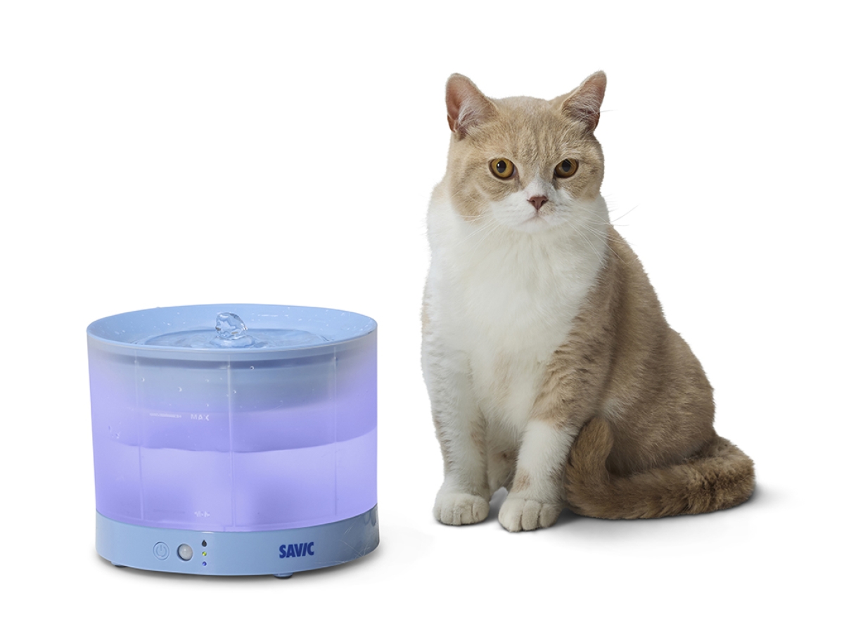 Savic Sensa Water Fountain Blue with translucent water reservoir and LED indicators