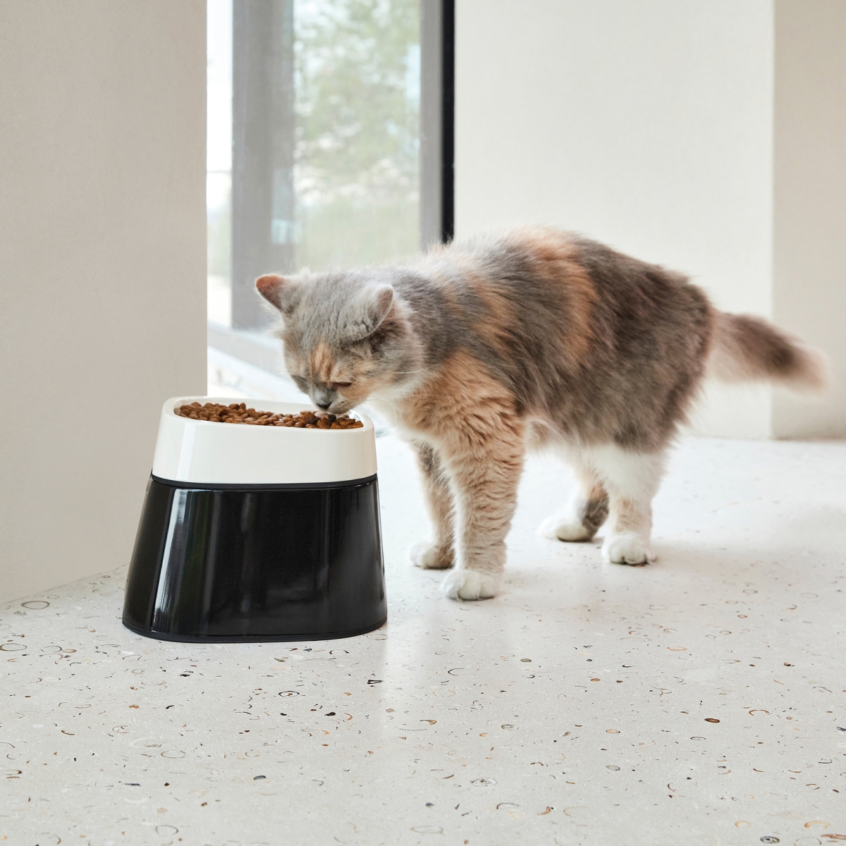 Ergo Cube Food bowl with cat