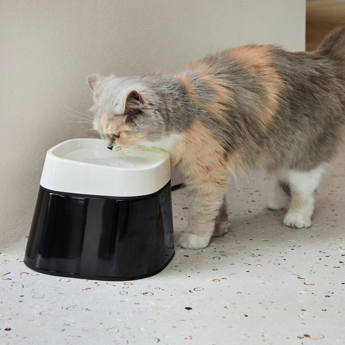 Ergo Cube Water drinking bowl with cat