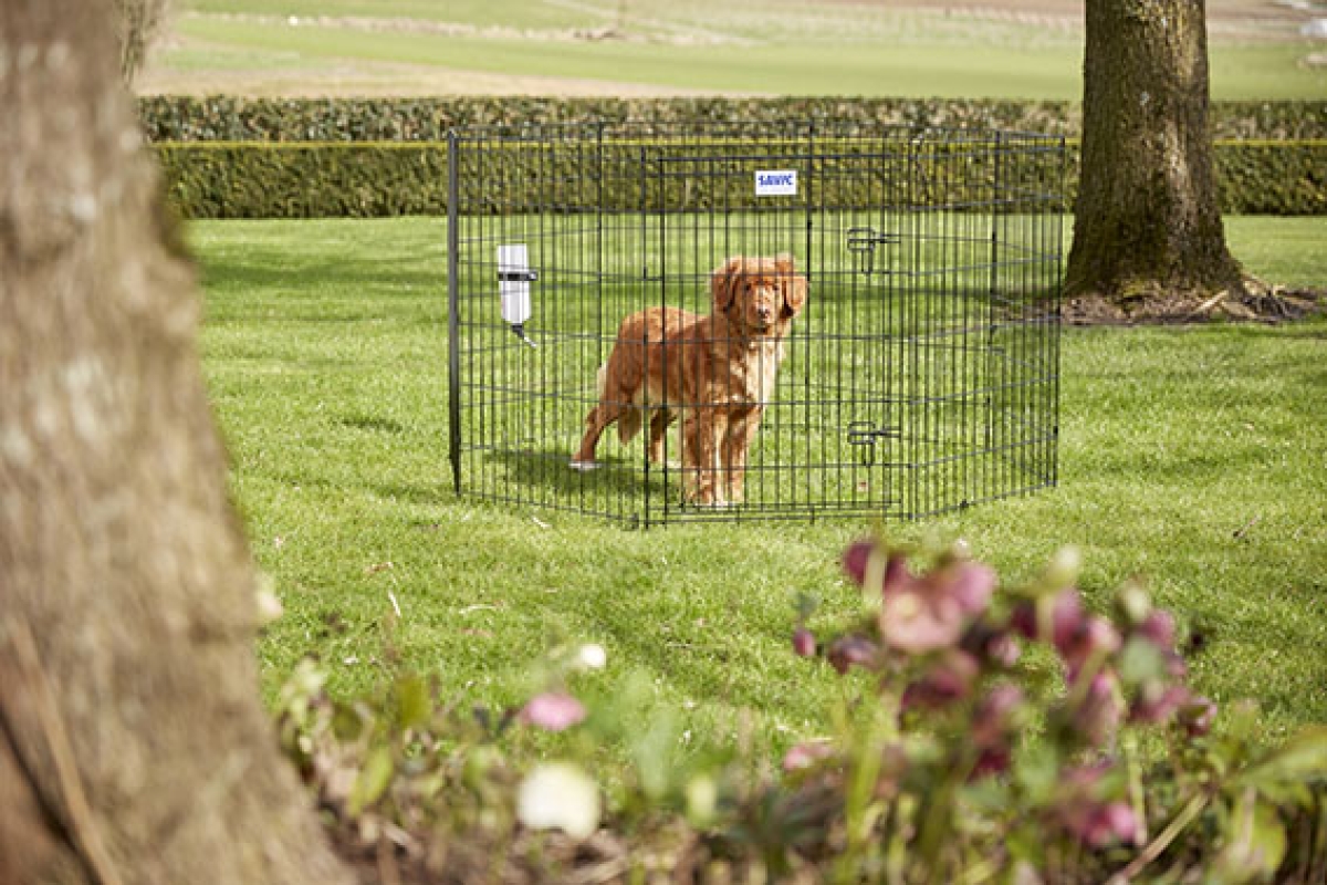 Dog 2 Park play pen - 91 cm