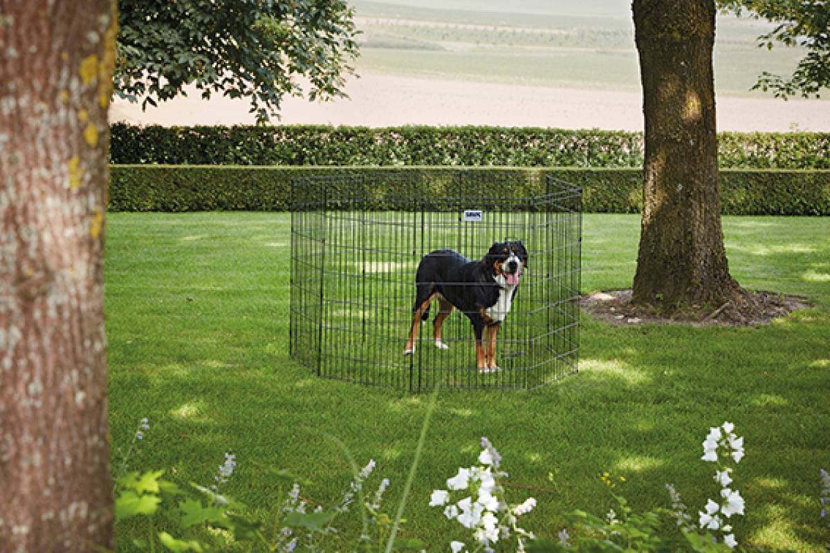 Dog Park 3 play pen - 107 cm
