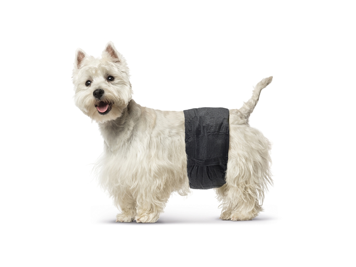 Male Comfort Nappy - Small
