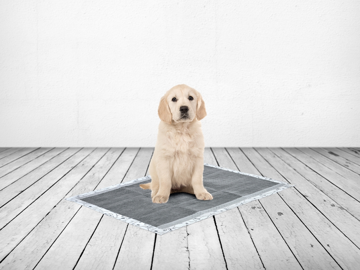 Savic Puppy Trainer Carbon Large pads with dark absorbent layer, shown folded