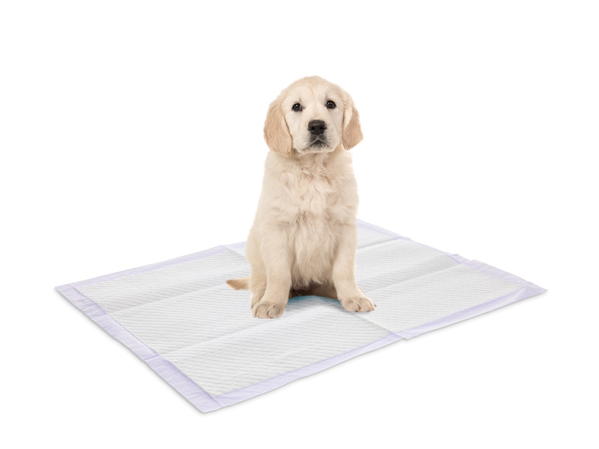 Puppy Trainer Lavender Large training pads - 30 pads