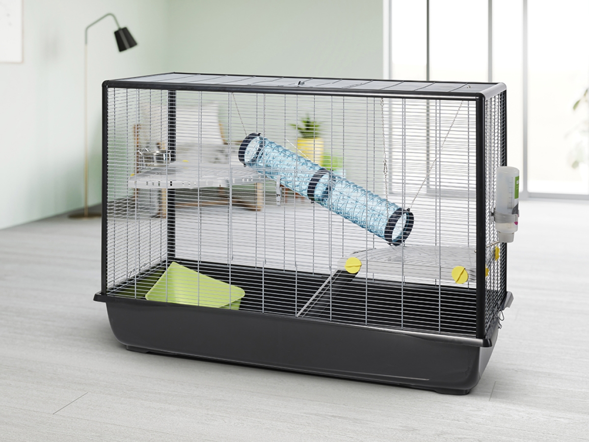 Zeno 4 Knock Down  small animal cage interior