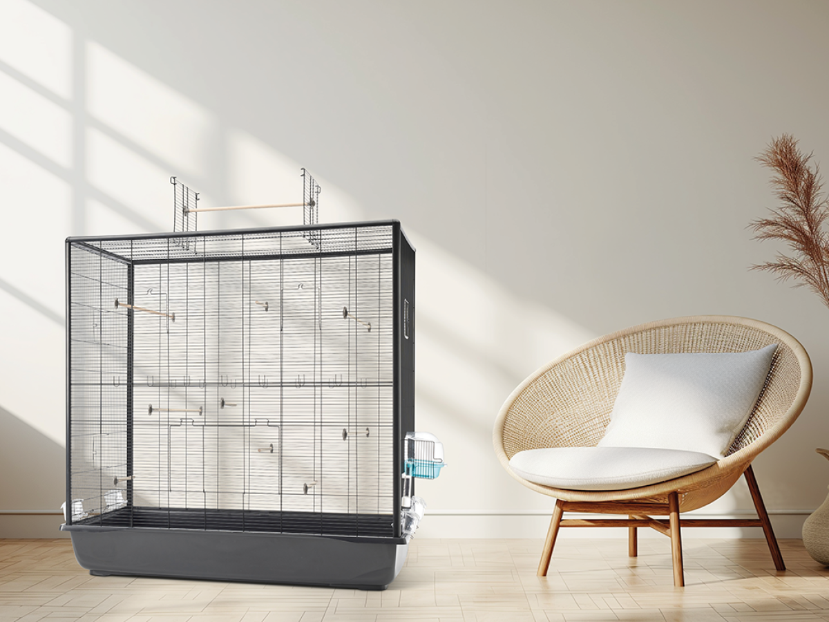 Primo 120 Empire Open