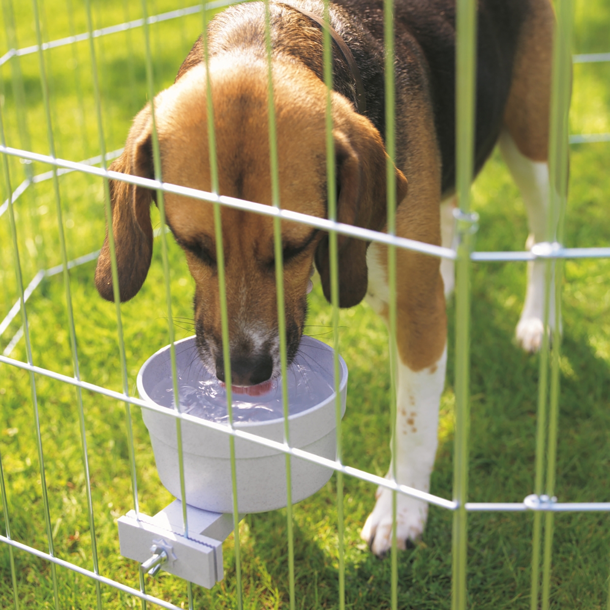 Crock food bowl - 0,85 L - Jumbo