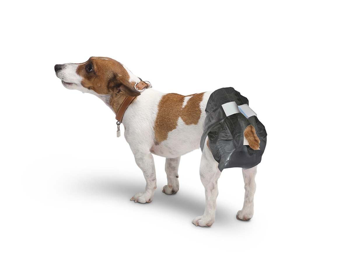 Comfort Nappy dog diapers - Size 2