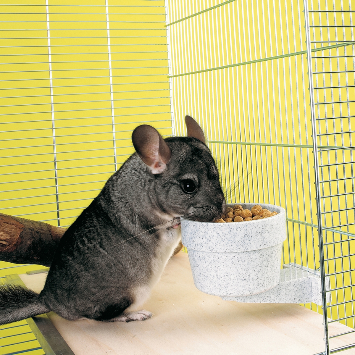 Crock food bowl - 0,3 L - Medium Crock food bowl - 0,3 L - Medium