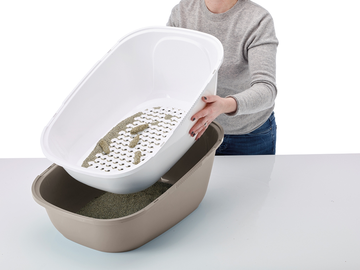 Reina Sift toilet home Reina Sift toilet home