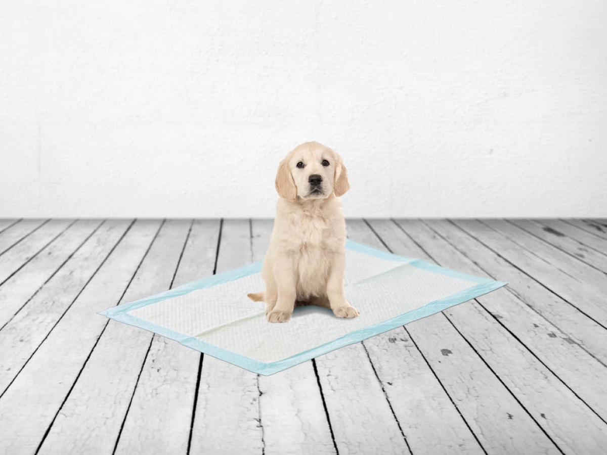 Puppy Trainer Large training pads - 15 pads