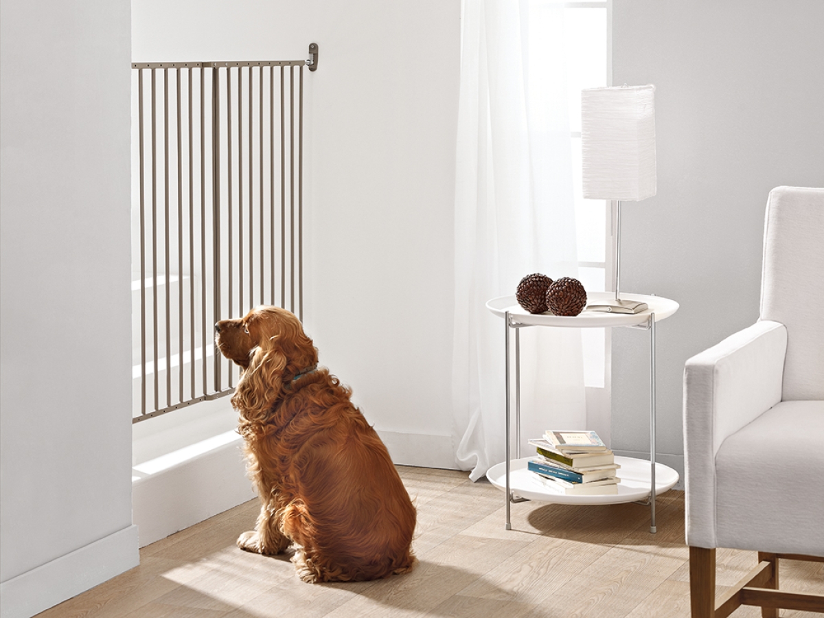 Brite doggy dog safety gate store