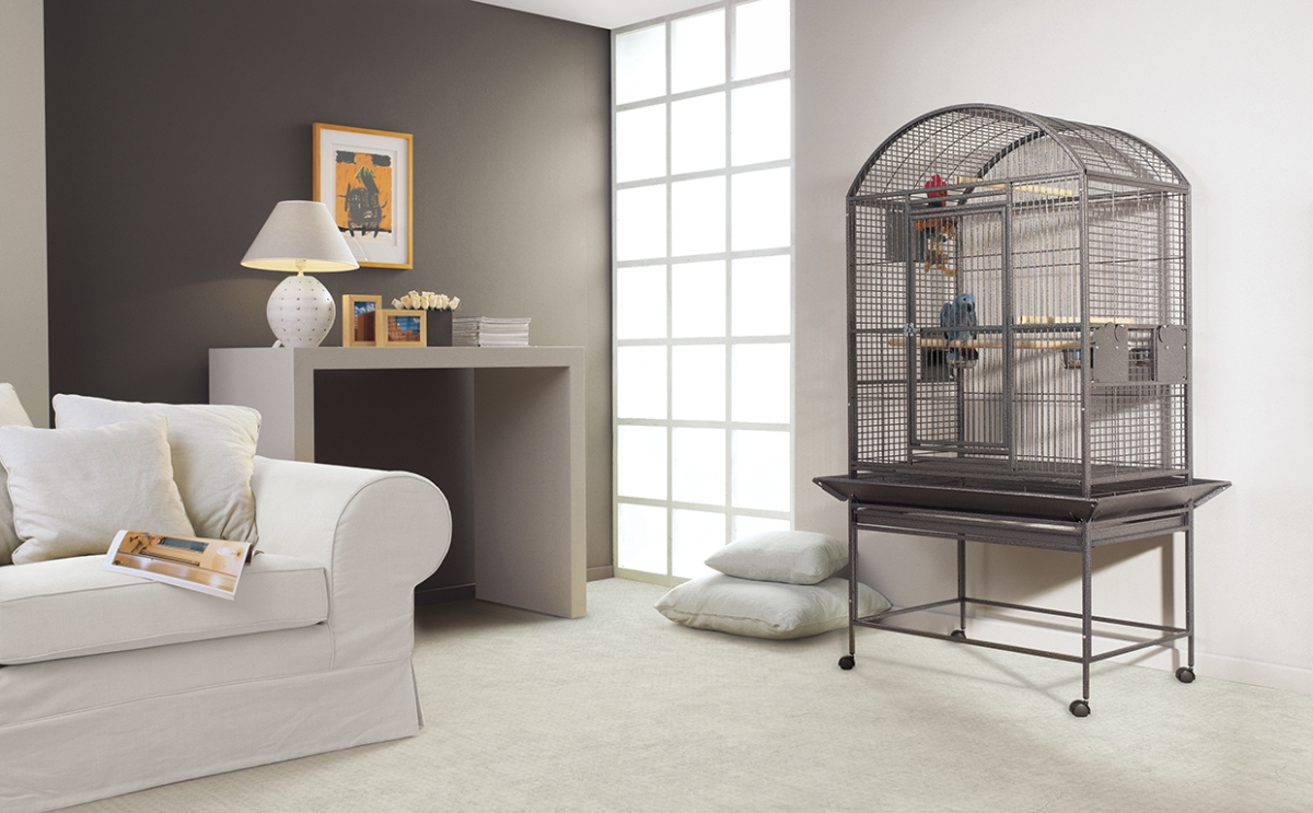 Picture 056 Picture 056