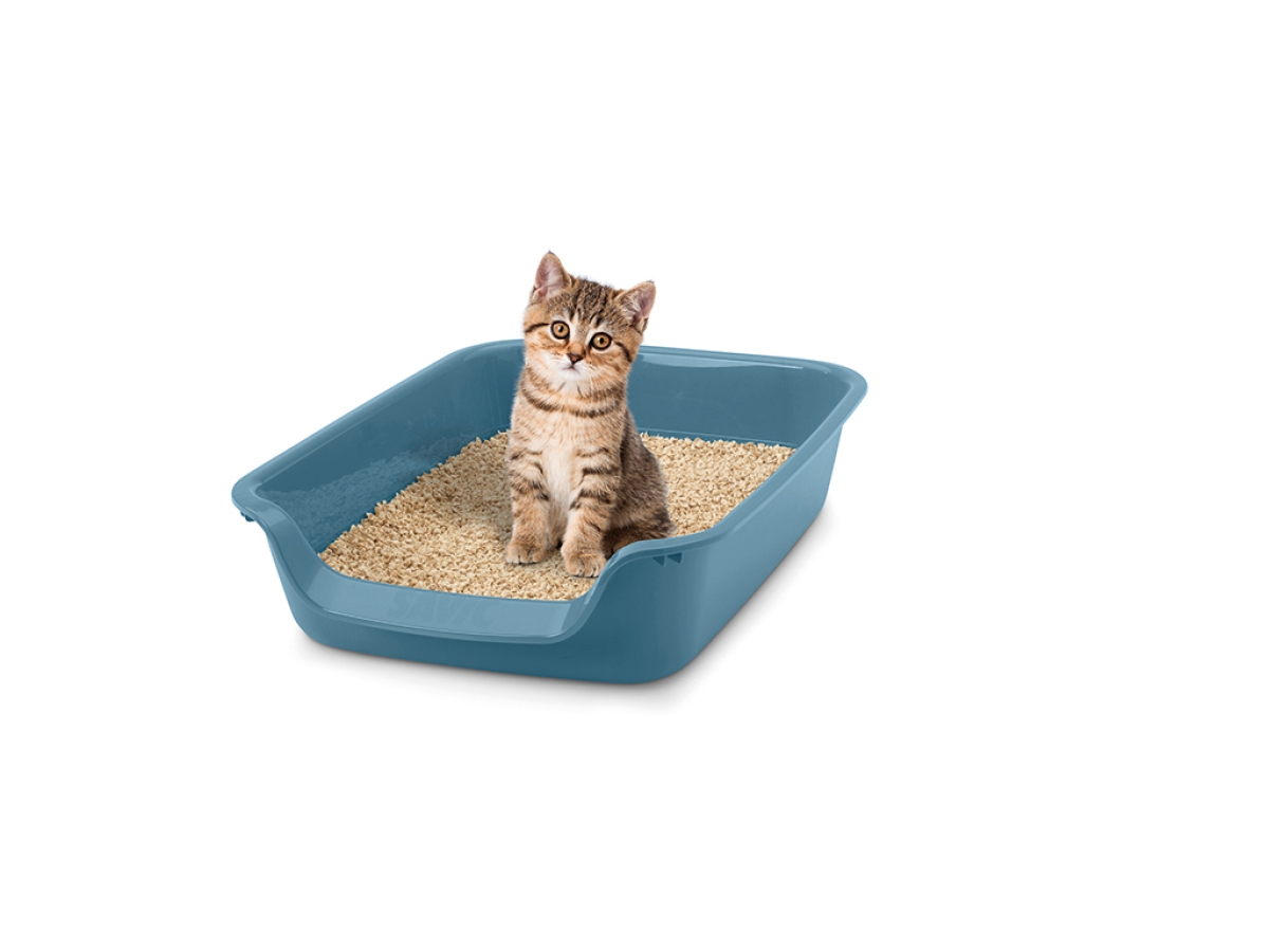 Junior Toilet Litter Tray - Bluestone | Perfect for Cats &amp; Small Dogs