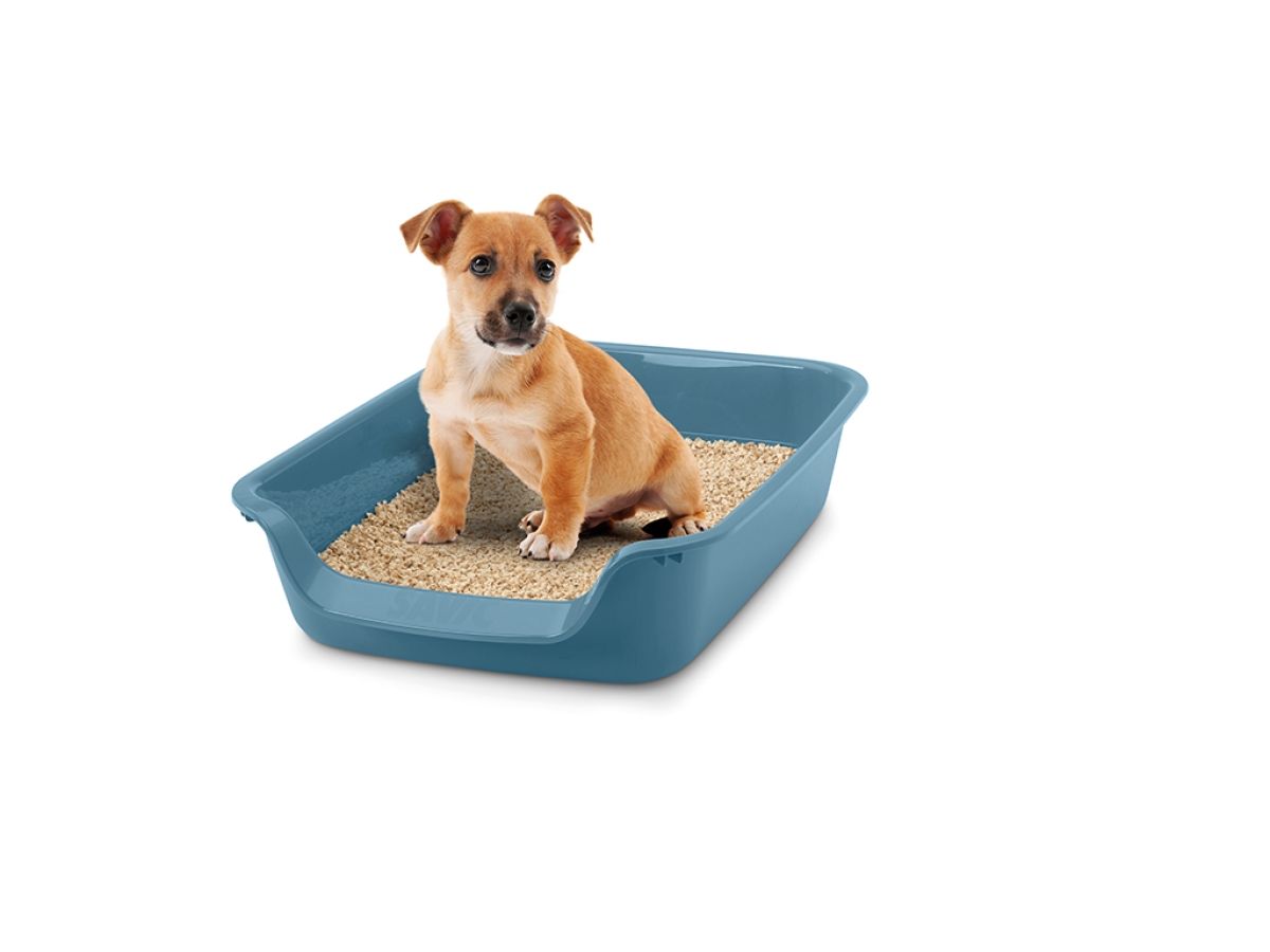 Junior Toilet Litter Tray - Bluestone | Perfect for Cats &amp; Small Dogs