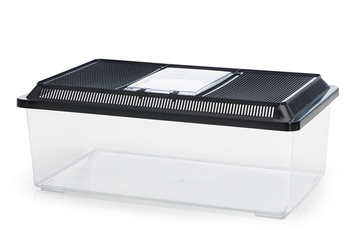 Fauna Box Low 18 L – Transparent Terrarium for Small Pets Savic Fauna Box Low 18 L – transparent plastic low terrarium with ventilated lid for small animals.