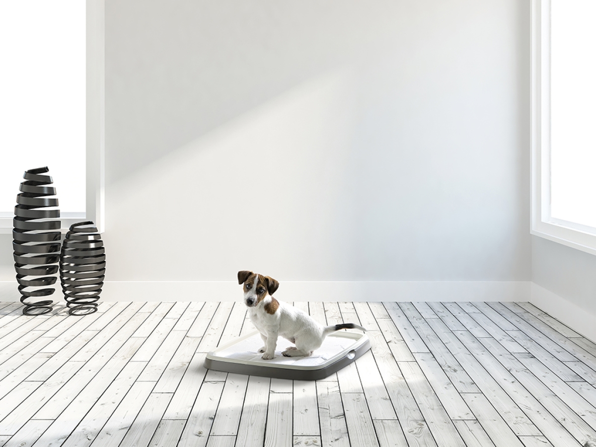 3240 puppy trainer starter kit medium