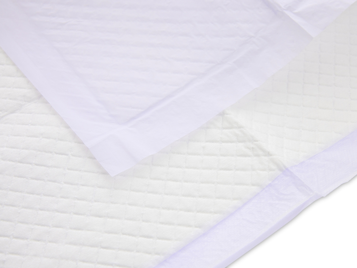 Puppy Trainer Lavender 2 Puppy Trainer Lavender 2