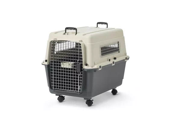 The Andes 5 transport crate in ivory and anthracite is ideal for dogs up to 25 kg. Durable, ventilated, and mobile with wheels and secure latches for stress-free travel.