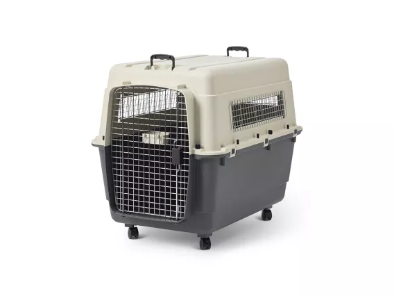The Andes 7 transport crate in ivory and anthracite is ideal for dogs up to 45 kg. Durable, ventilated, and mobile with wheels and secure latches for stress-free travel.