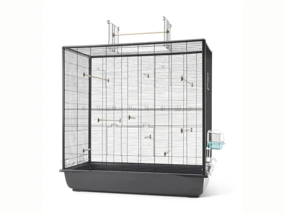 Primo 120 Empire Open 