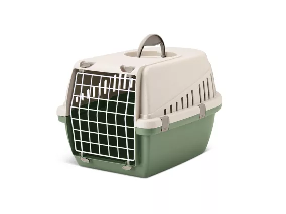 Trotter 1 transport box - Happy Planet green