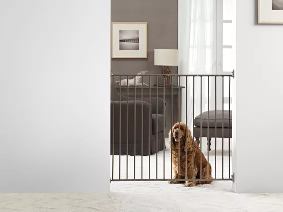 Savic dog barrier 2 with cat door new arrivals