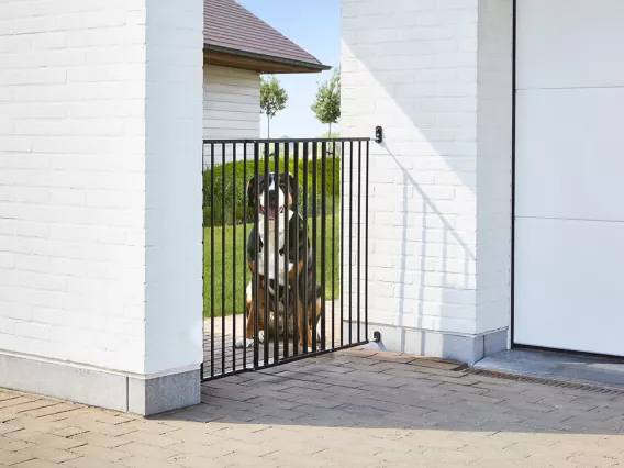 Savic dog gate discount