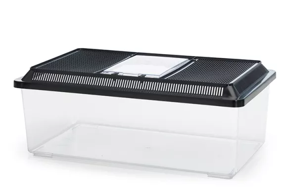 Fauna Box Low terrarium with 18L capacity, transparent plastic construction, and ventilated lid.
