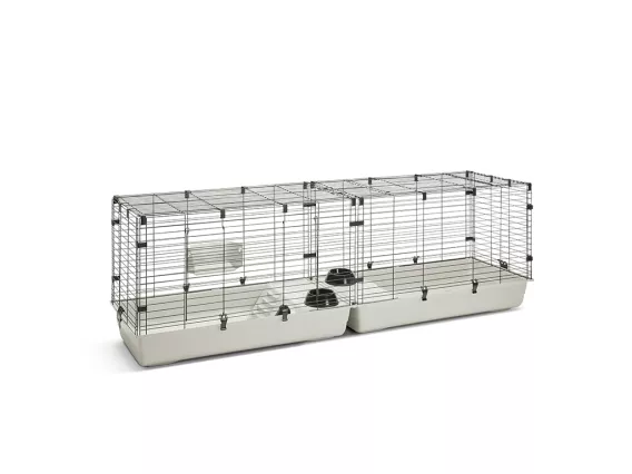 Small animals Savic