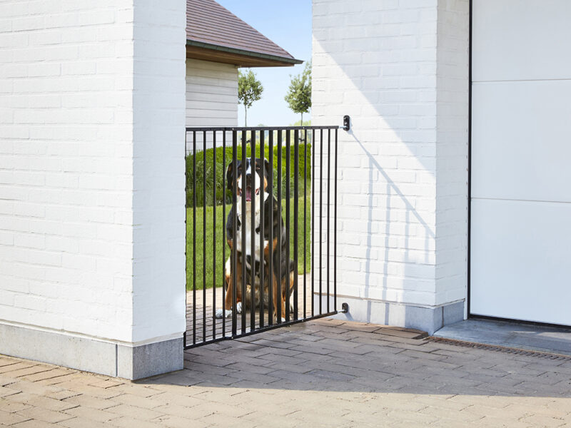 Dog Barrier Gate Outdoor Pet, Outdoor Gates For Dogs